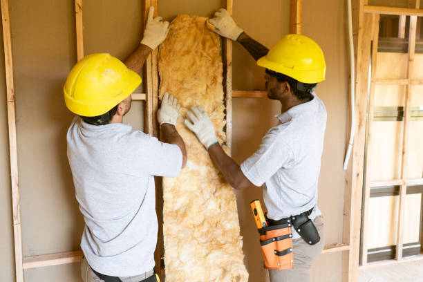 Best Attic Insulation Installation  in Laupahoehoe, HI